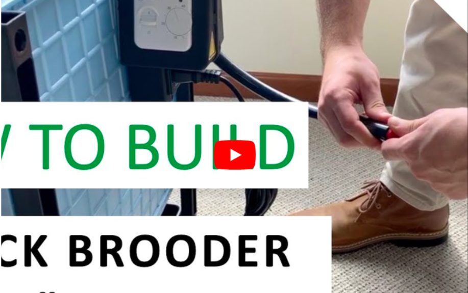 Snímka obrazovky 2026-03-03 o 22.51.11